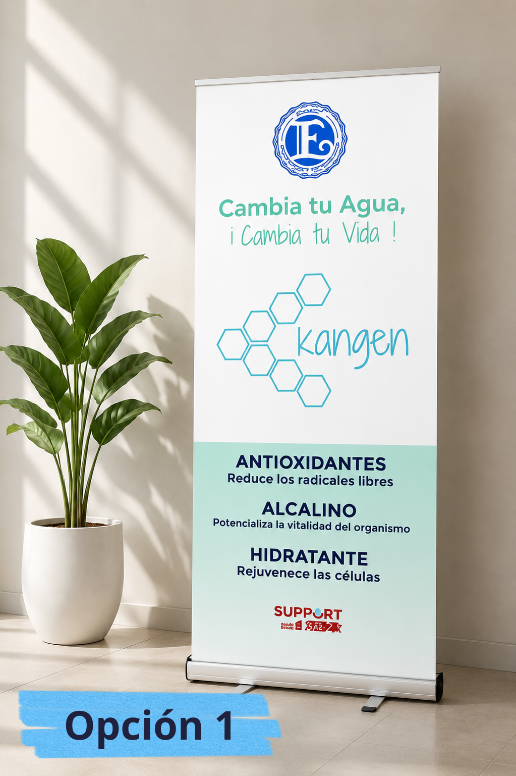 Banner roll up Agua Kangen, diferentes modelos