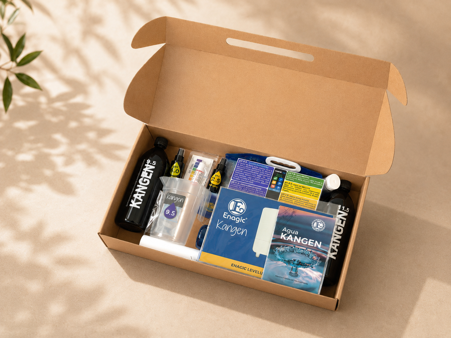 Kit de presentación de negocio Mentor6A23